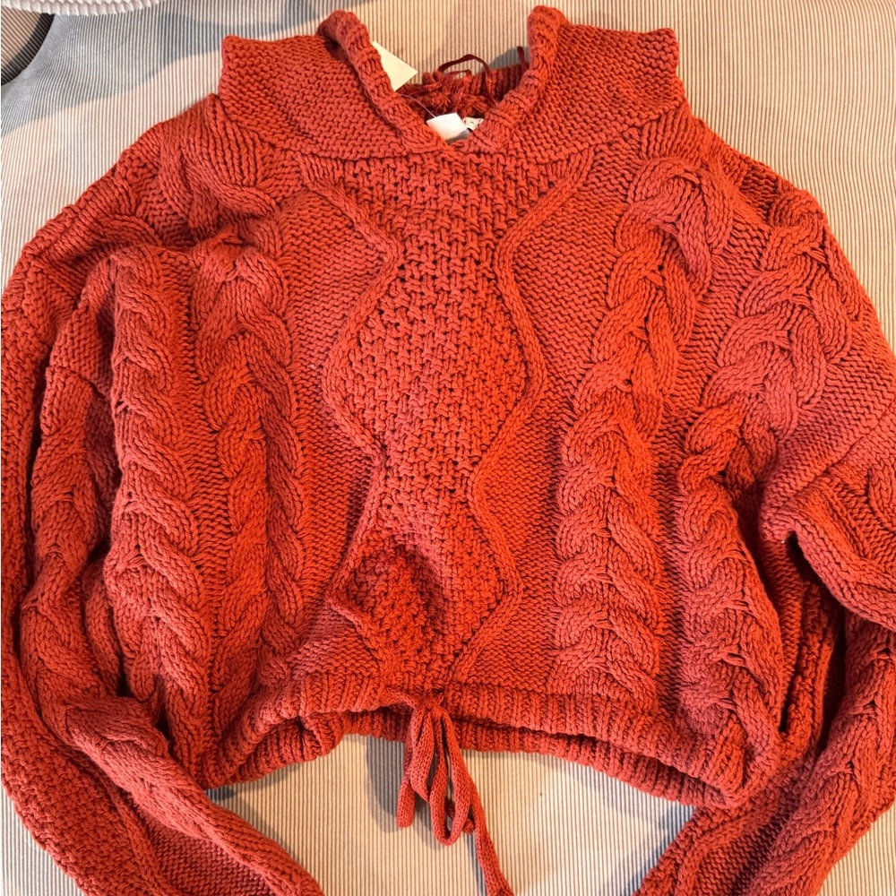 Cozy Cable Knit Sweater with Hood- Burnt Orange